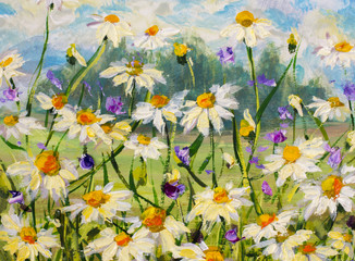 Original oil painting of white daisies flowers, beautiful field flowers on canvas. Modern Impressionism. Palette knife Impasto artwork. © weris7554
