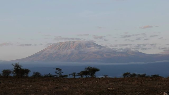 mt kilimanjaro at sunrise from amboseli national park, kenya