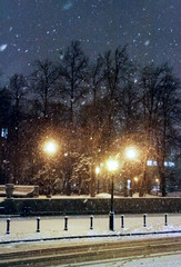 Trees covered with snow, dark sky and shining lantern through snowing. Park scene. Night shot.