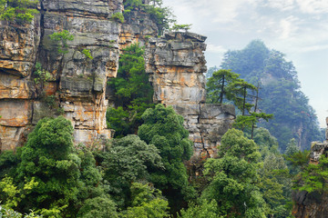 Fototapeta premium view of limestone cliff in Zhangjiajie national park, hunan,China