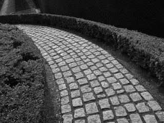 Pathway in Sun