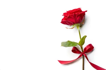 Keuken foto achterwand Rozen Rode roos met lint geïsoleerd op witte achtergrond