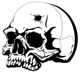 Human skull with a bullet hole on the forehead.