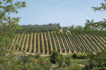 Rural landscape in val Teverina (Umbria, Italy)
