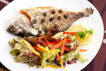 Grilled gilt-head bream fish