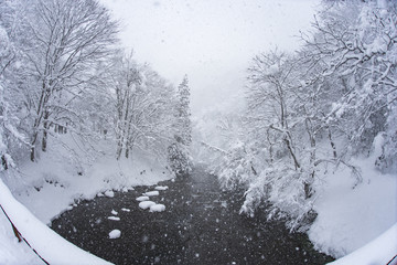冬の八重滝

