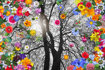 Obrazy  Zimowe drzewo i kolorowe wiosenne kwiaty