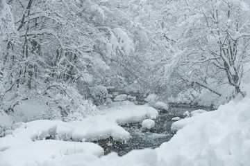 里山の雪景色