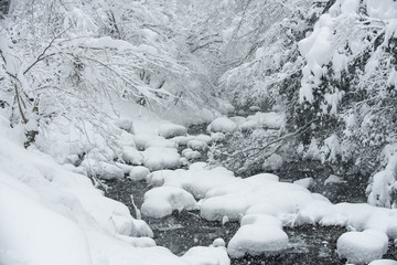 Fototapeta na wymiar 里山の雪景色