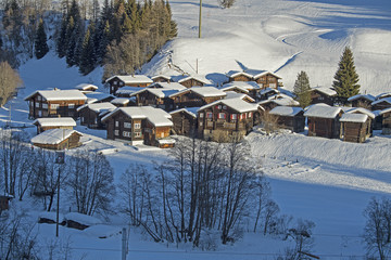 Weiler 