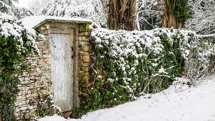 Snow 1