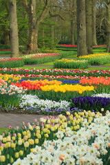 Frühling im Keukenhof in Lisse, Holland