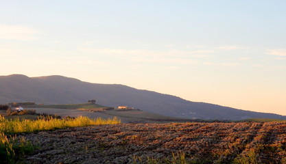 tramonto sulla campagna toscana