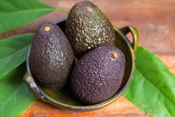 Raw ripe dark green avocados with leaves on wooden background
