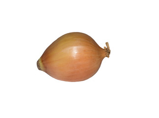 bulb onion isolated on white background