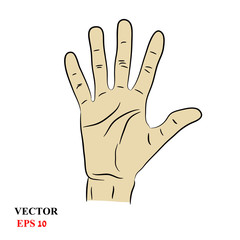 Hand raised palm toward the viewer, stretched out five fingers