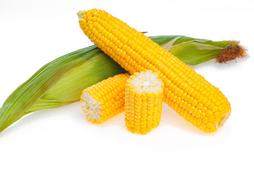  Yellow ripe ear of corn, isolated on white. Close-up