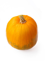 Pumpkin isolated on white background