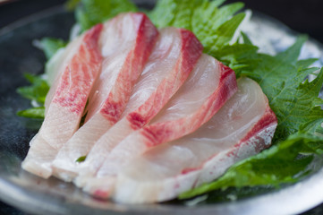 ヒラマサの刺身