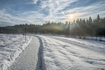 Fototapeta na wymiar Kurpark bei Spiegelau im Winter, Bayerischer Wald, Deutschland
