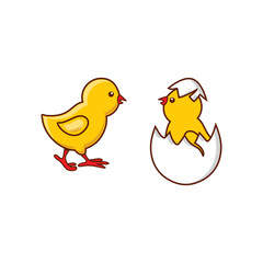 vector flat cute baby chicken, yellow small chick hatching from egg set. Flat bird animal, isolated illustration on a white background, poultry, farm organic food products advertising design object.