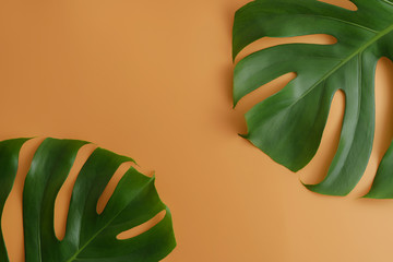 Fototapeta na wymiar Green leaf on brown color background for branding mock-up concept.