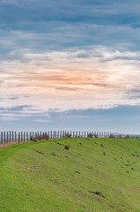 Obraz premium Dike on the German North Sea coast