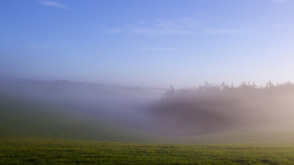Fototapeta na wymiar Cornish misty, winter, morning in the sunshine