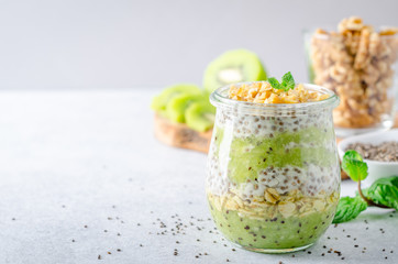 Chia pudding with kiwi and mint