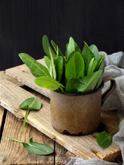 Fresh organic sorrel leaves in metal cup for salad or soup. First spring greens.  Healthy food concept. Copy space