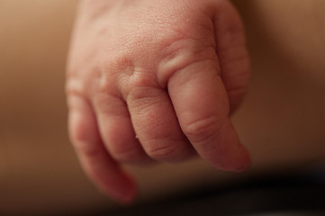 Neugeborenenhand