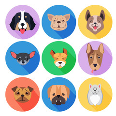 Concept of Purebred Dogs on Colored Circle Icons