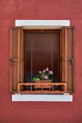 Window with old wooden shutters and pink flowers in the pot. Italy, Venice, Burano