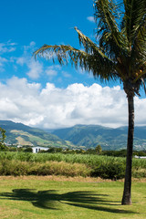 Fototapeta na wymiar Départ Vacances Ile de La Réunion