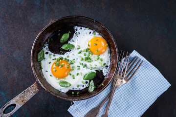 Fried eggs in a frying pan with basil,green onion,and bread for breakfast on a black background.