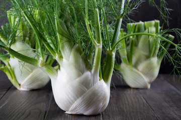 Raw fennel bulbs with green stems and leaves, fennel flowers and root ready to cook on  dark wooden background