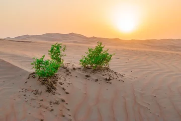 Foto auf Glas Desert dunes in Middle East © Nancy Pauwels