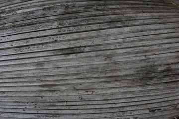 Naklejka premium Organic lines from a tree seed