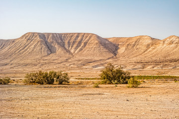 Negev desert landscape.