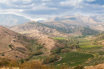 Fototapeta premium vineyards in the highlands, a view from a height, morning light