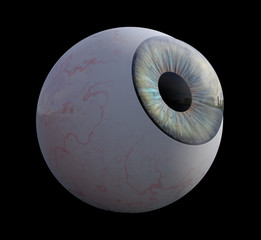3D illustration - Blue human eye isolated on black background