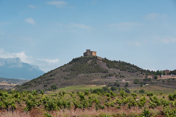 Fototapeta premium Wineyard landscape and Davalillo castle in the background, in La Rioja, Spain.