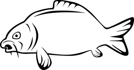 Karpfen, Fisch, Tier, Logo, Label, Angeln