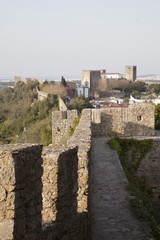Fototapeta na wymiar muralha de Óbidos 