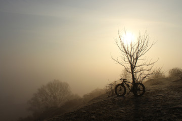 Fat bike