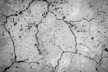 Black and white cracked floor