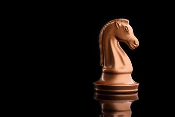 One gold chess knight © dimasobko