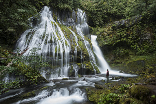 Full length of man standing against waterfall at Gifford Pinchot National Forest