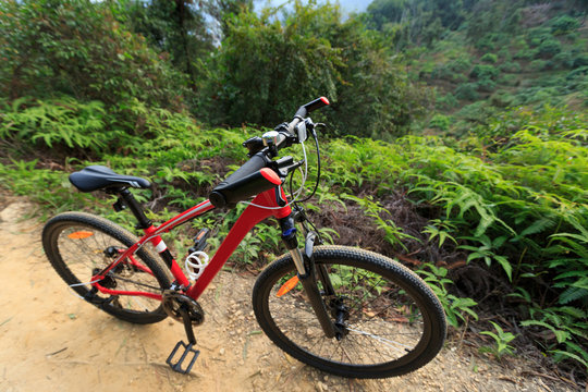 closeup of red muntain bike on forest trial