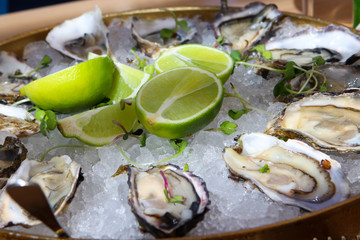 Fresh oysters on the ice with lime and green sprouts